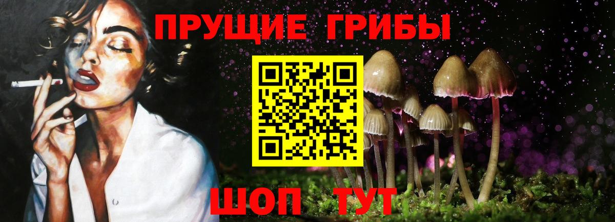 Псилоцибиновые грибы GOLDEN TEACHER  как найти закладки  Мичуринск  Вход с VPN 